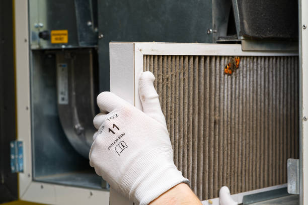 Best Home Air Vent Cleaning  in Antigo, WI