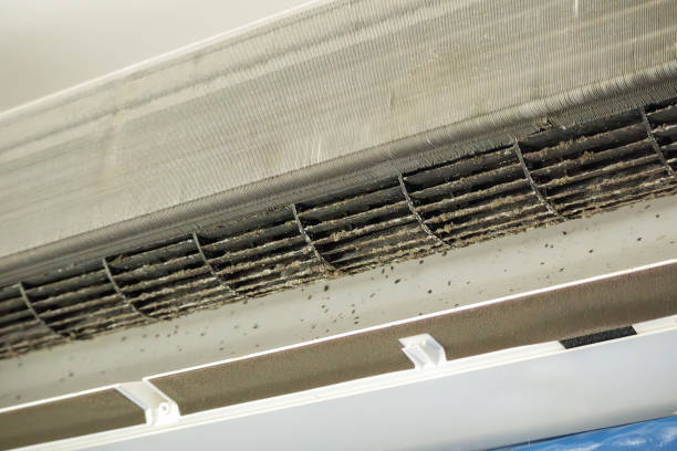 Best Emergency Air Duct Cleaning  in Antigo, WI